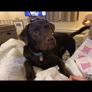 Meet your Posher, Angela